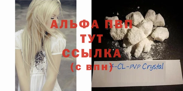 спайс Богданович