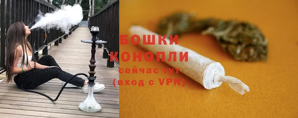 спайс Богданович